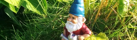 gnome fishing