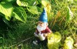 gnome fishing