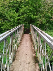 bridge