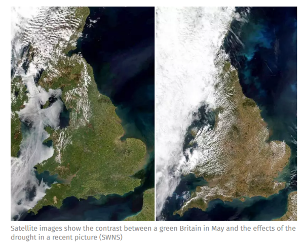 England looking very brown from space due to heatwave